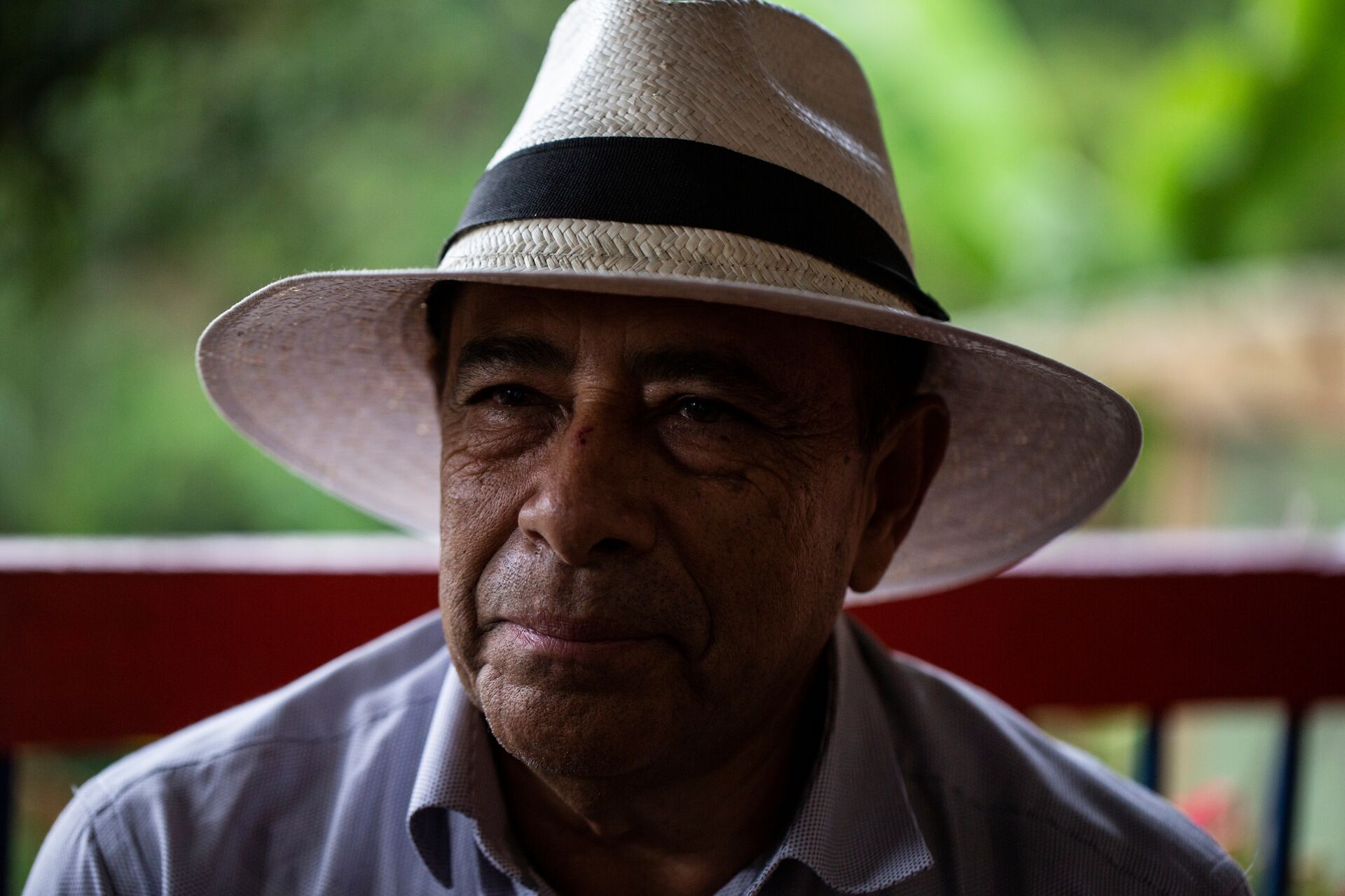 Pincelito