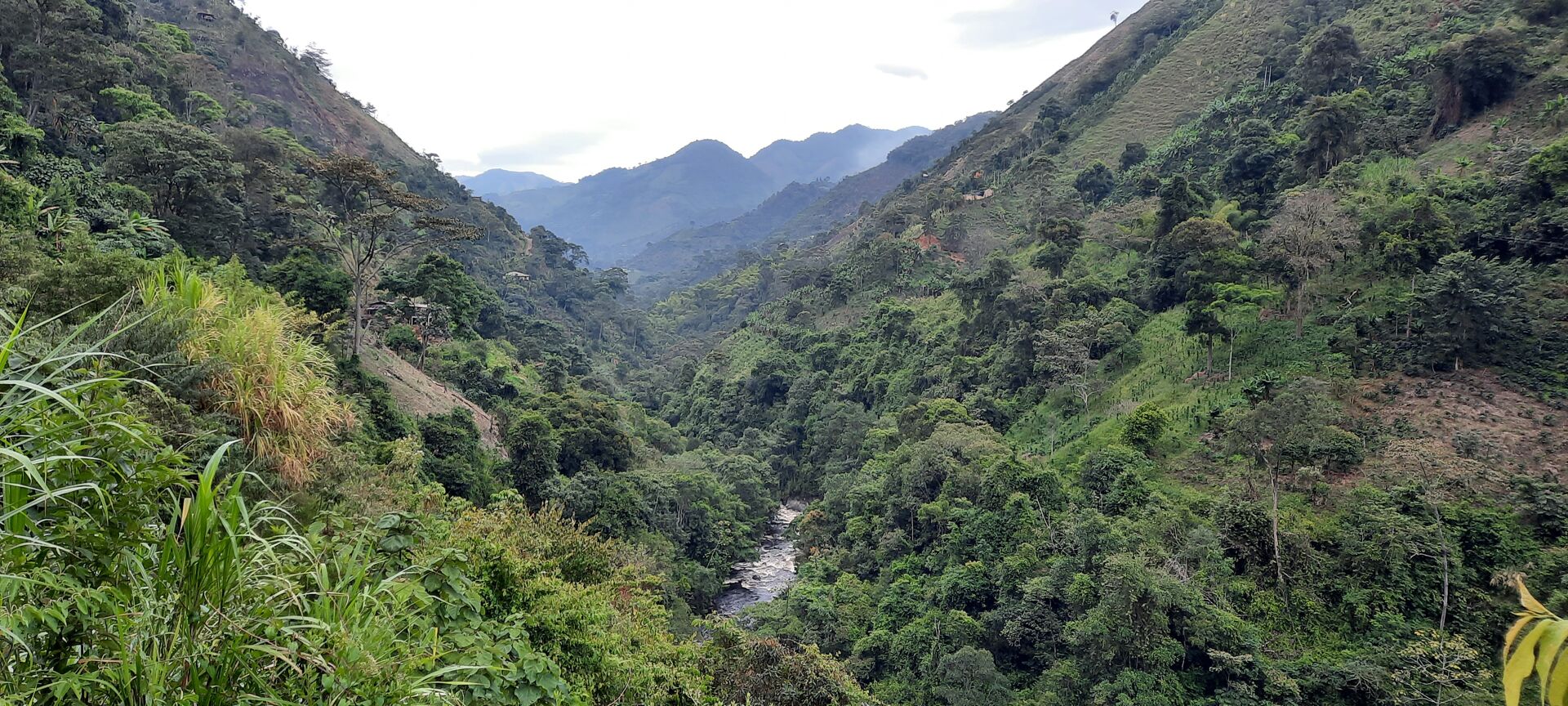 La Manoa
