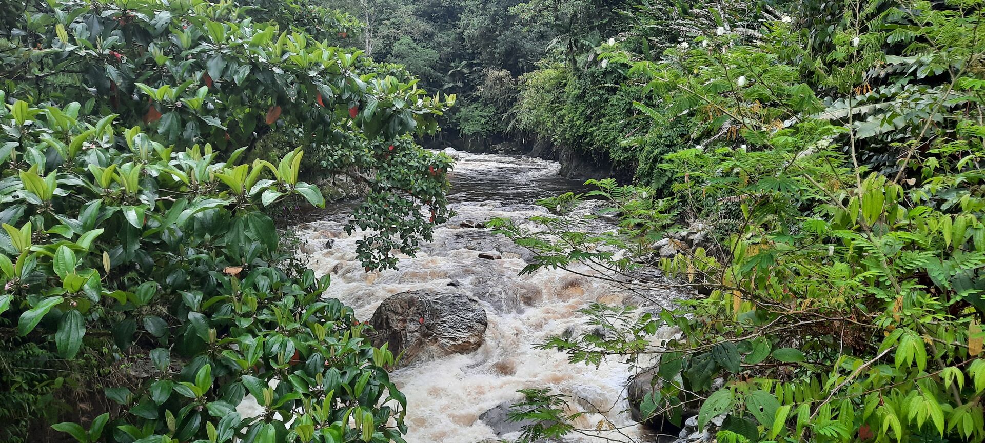 La Manoa