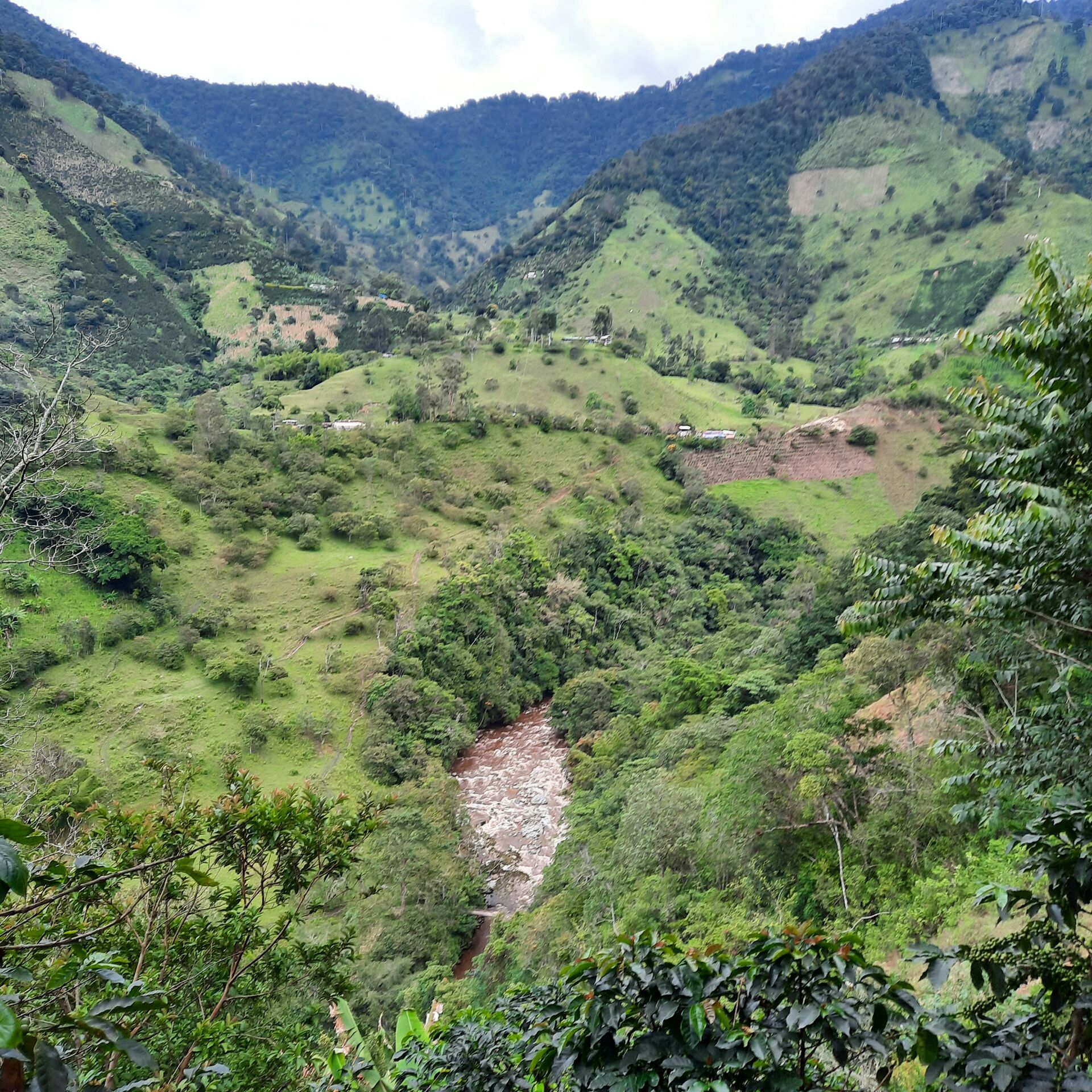 La Manoa