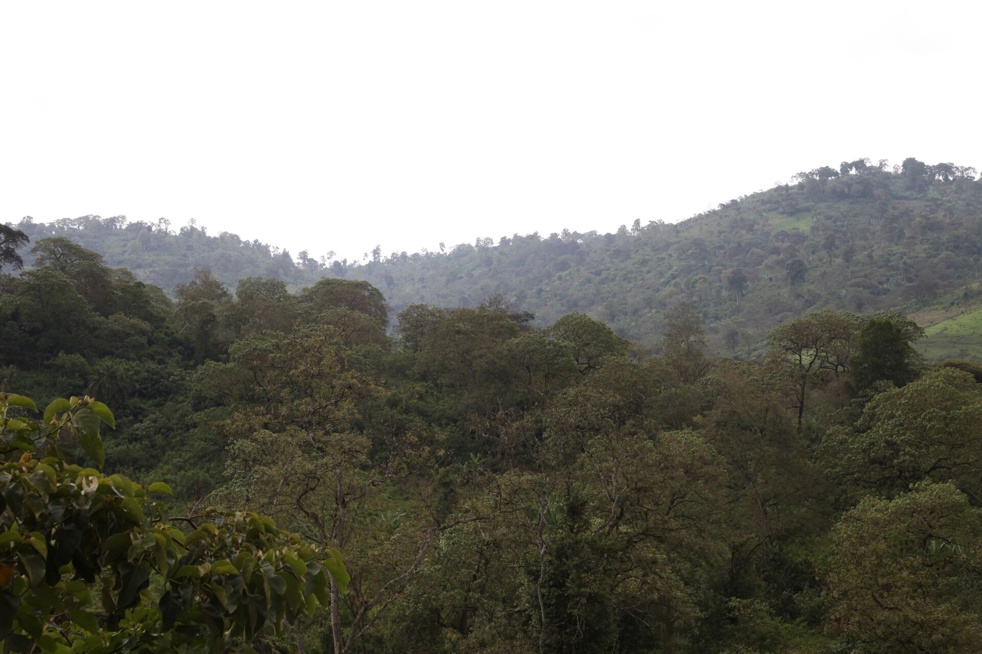 Jebena Sidama