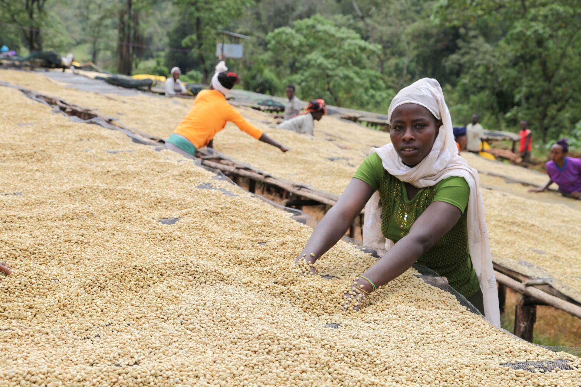 Jebena Sidama