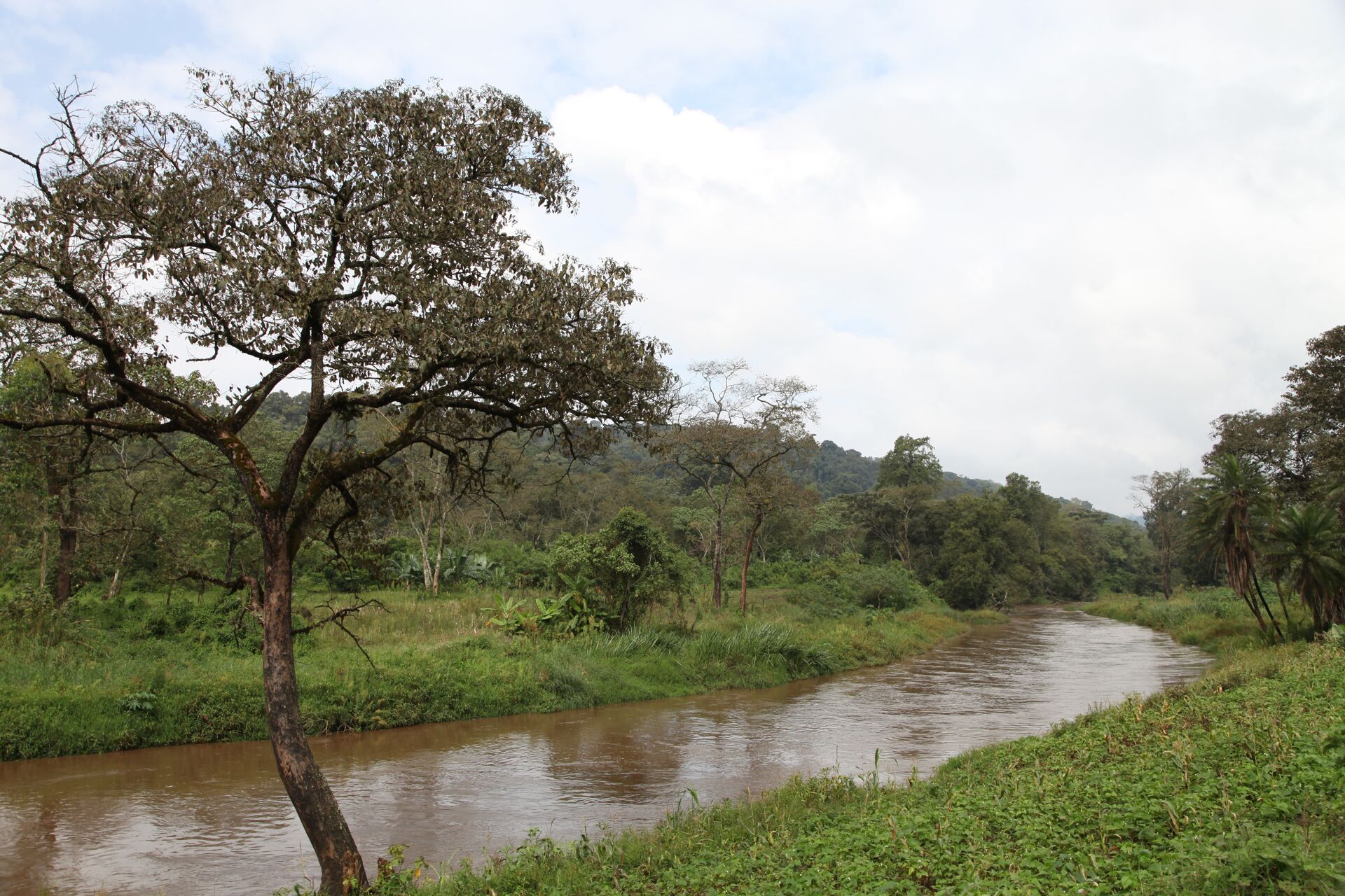 Jebena Sidama