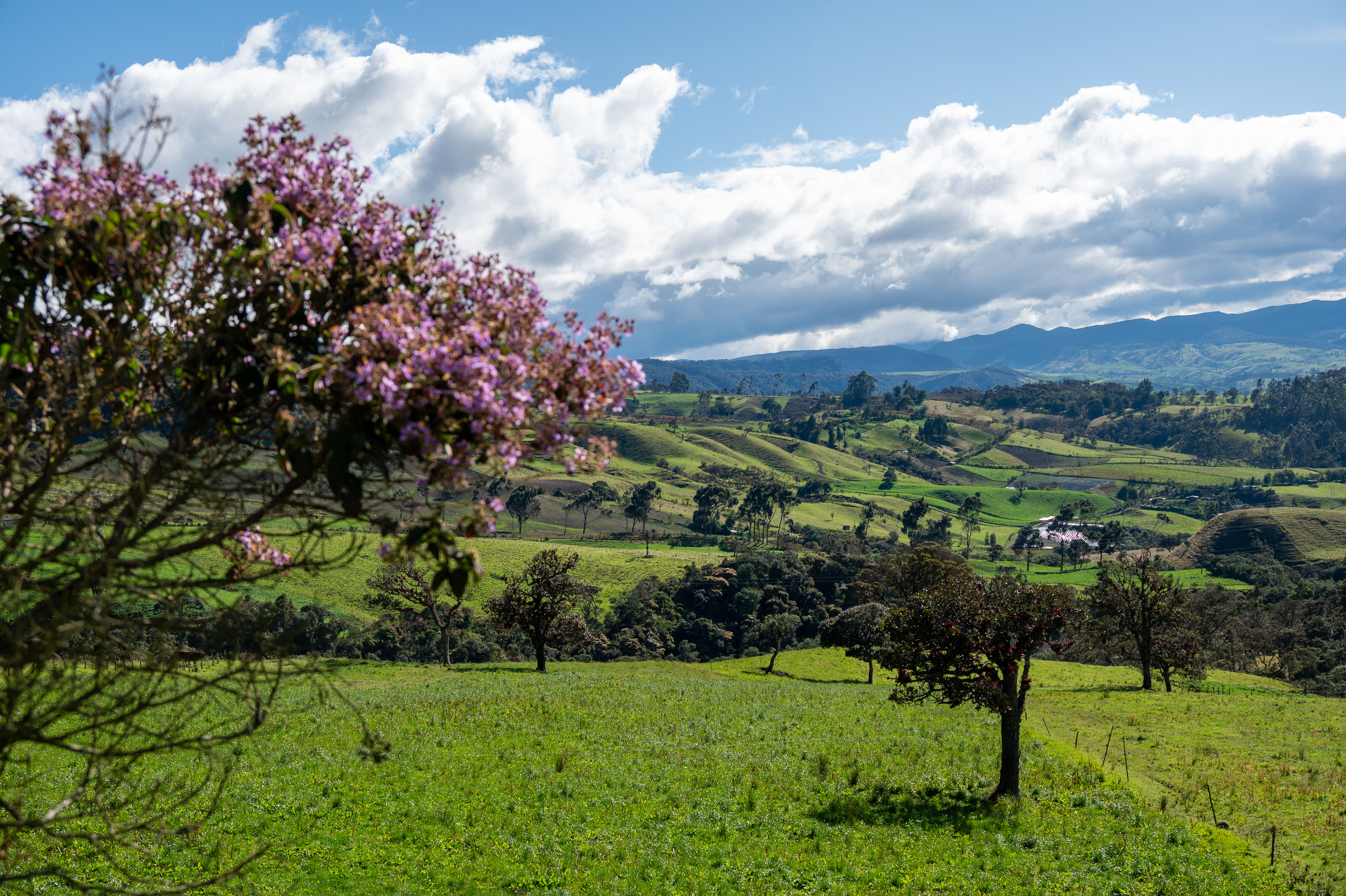 Yaquiva