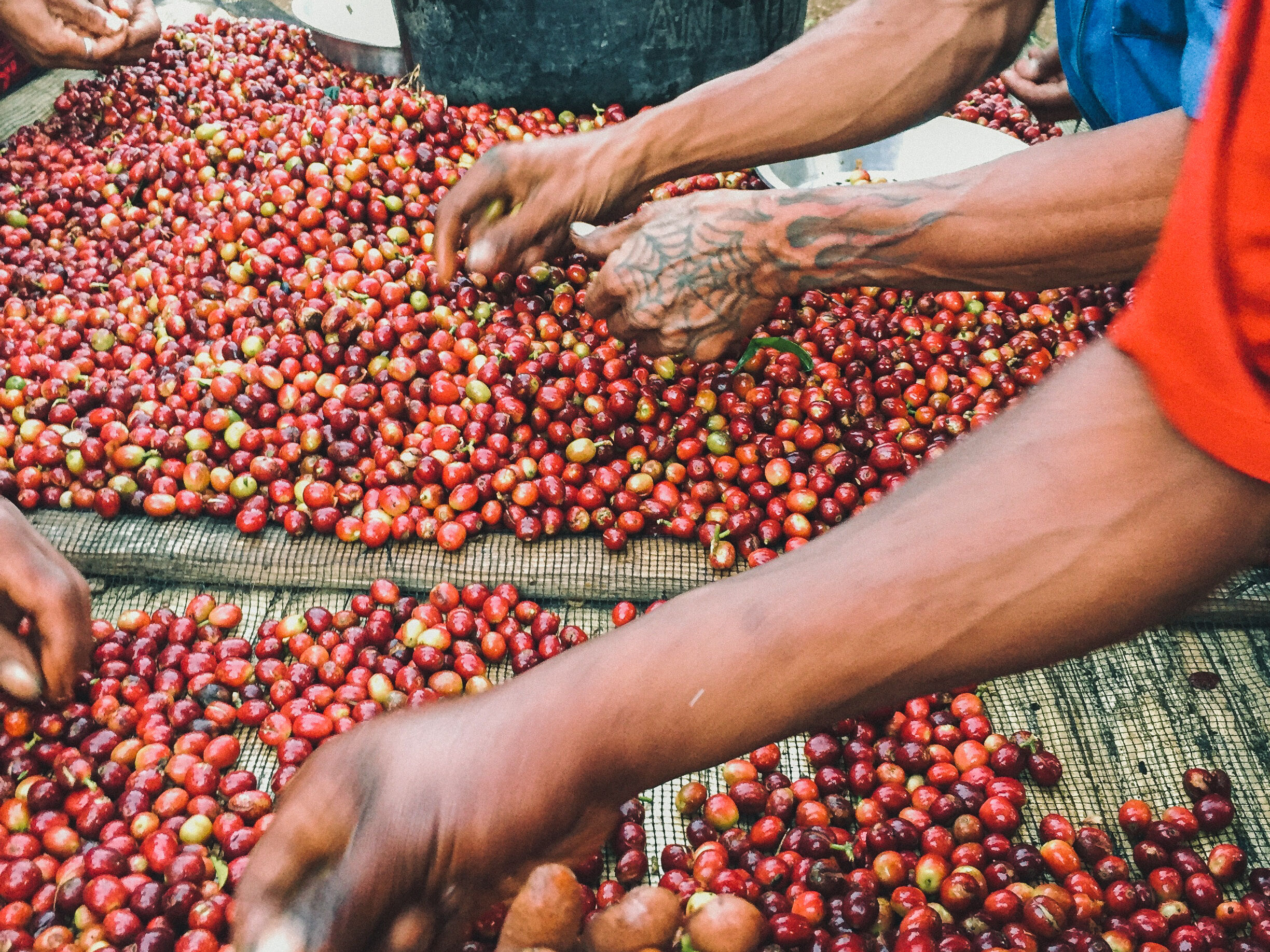 17c404a0-8fc7-55d8-902f-df7348650000