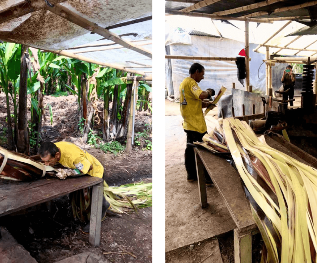 Abaca filters win Made by Project first prize