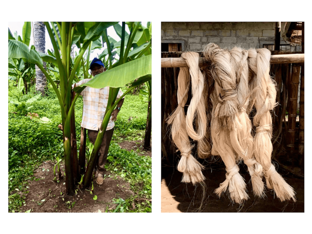 Example Of Abaca Abaca filters win Made by Project first prize