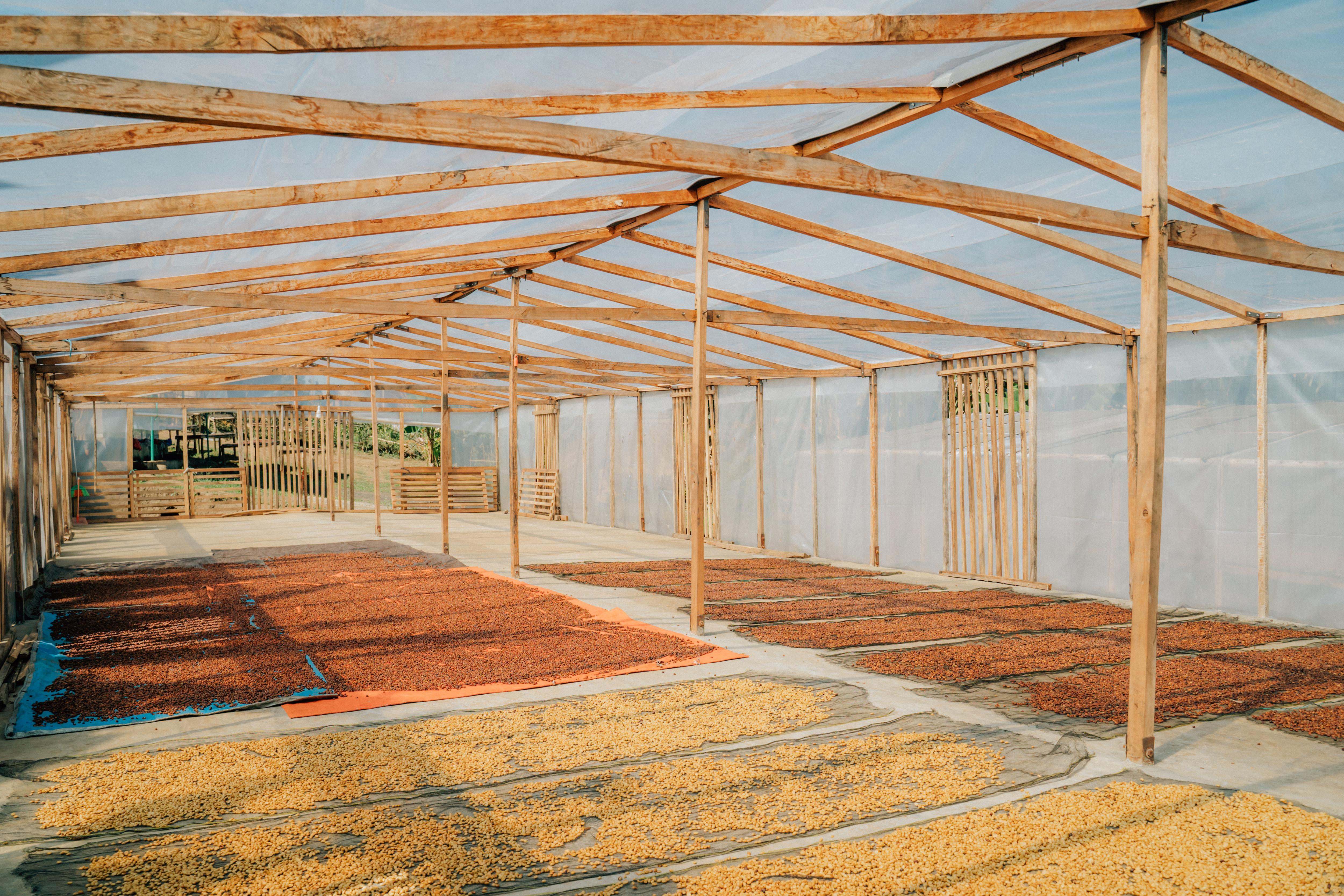 0917b4e9-c5c6-556c-9e41-d0d659a50000