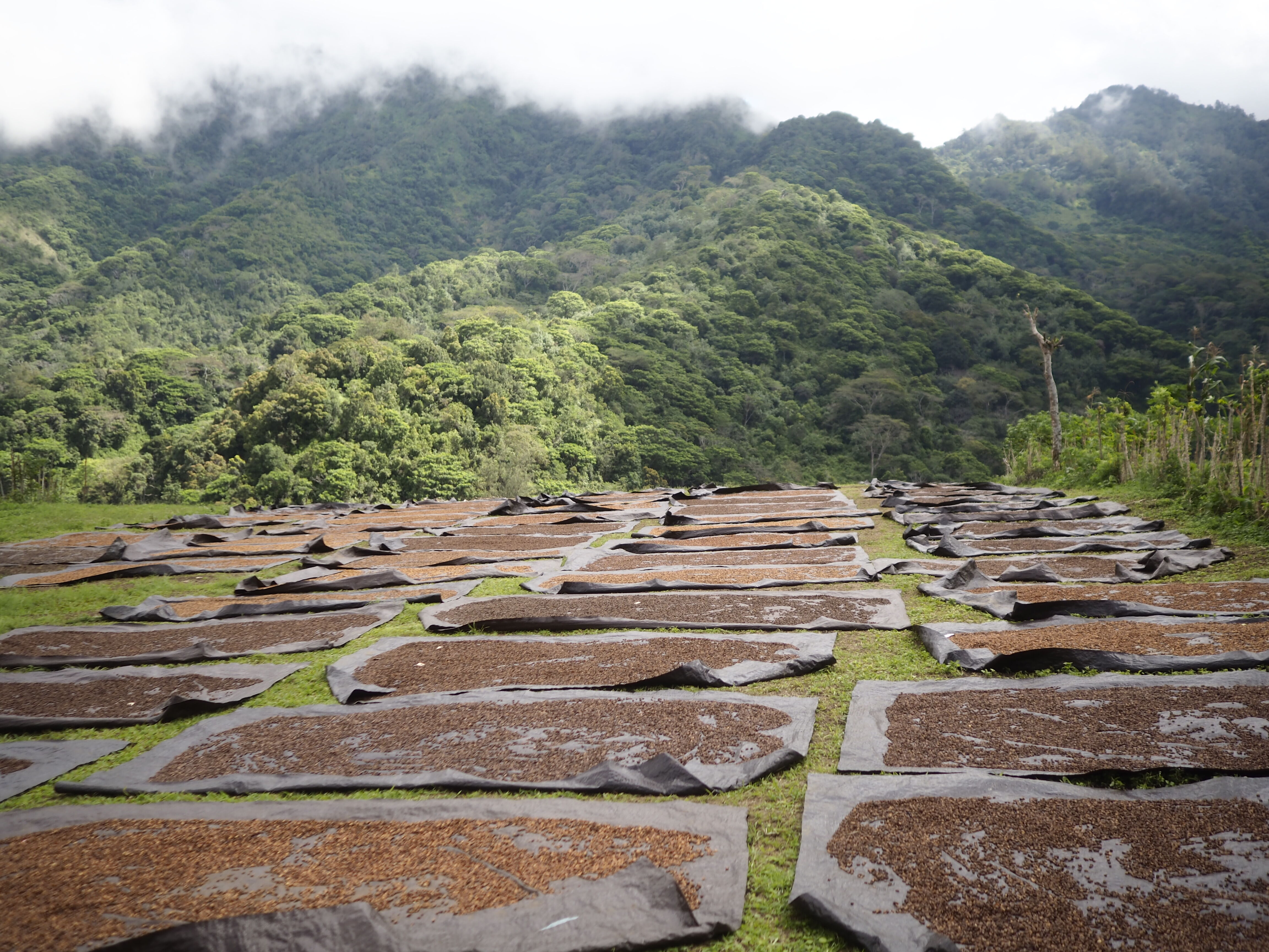 680dc661-2b30-54f2-8262-95a8d4a50000