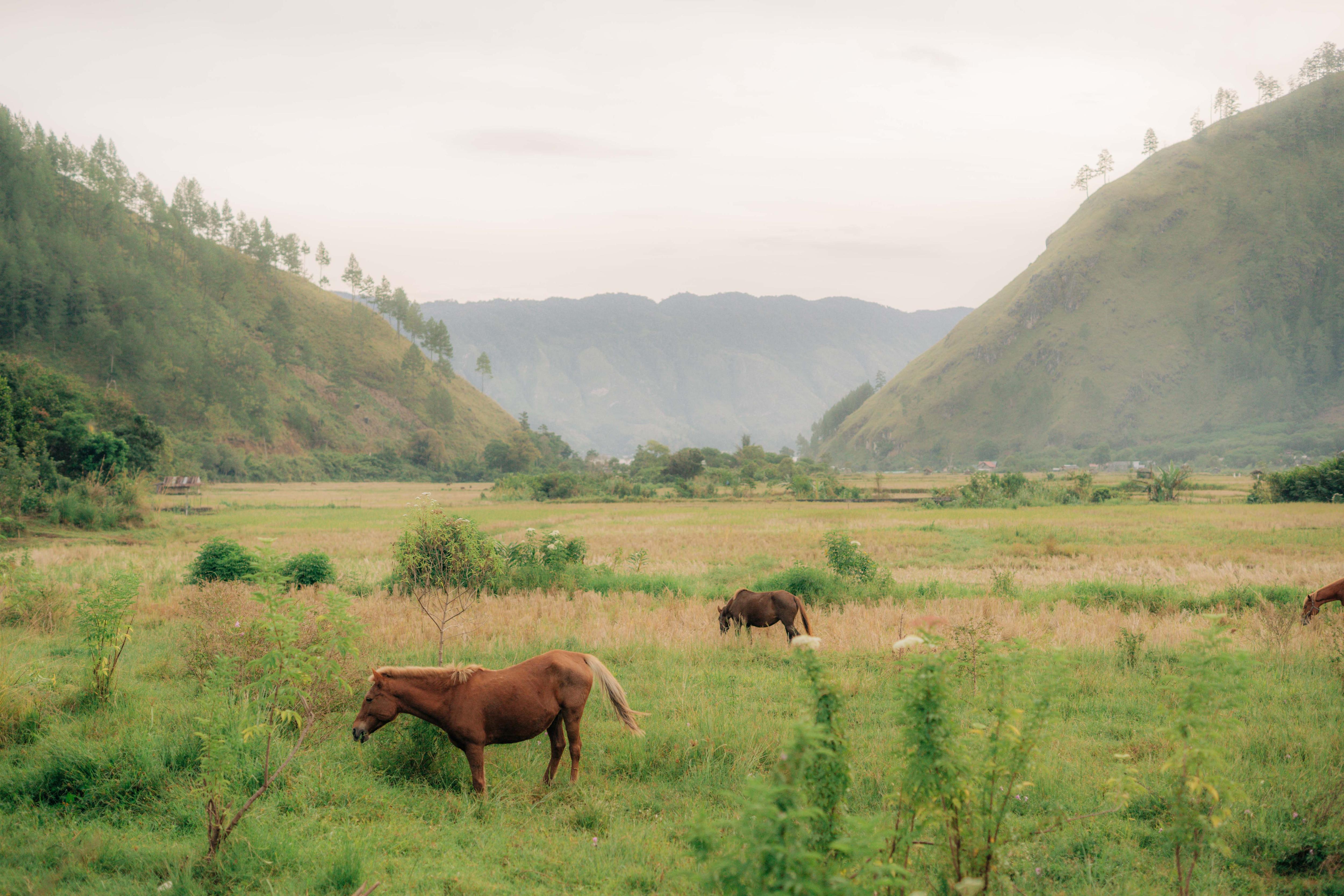 d24be52c-1da9-5bd9-95ac-ea08ee850000