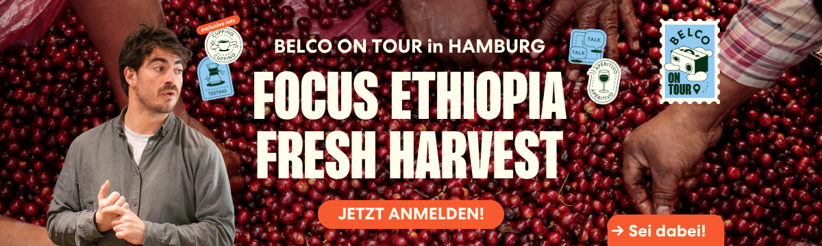 CUPPT MIT UNS UND RESERVIERT EUCH DIE BESTEN LOTS VOR ALLEN ANDEREN!