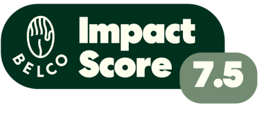 Impact Score