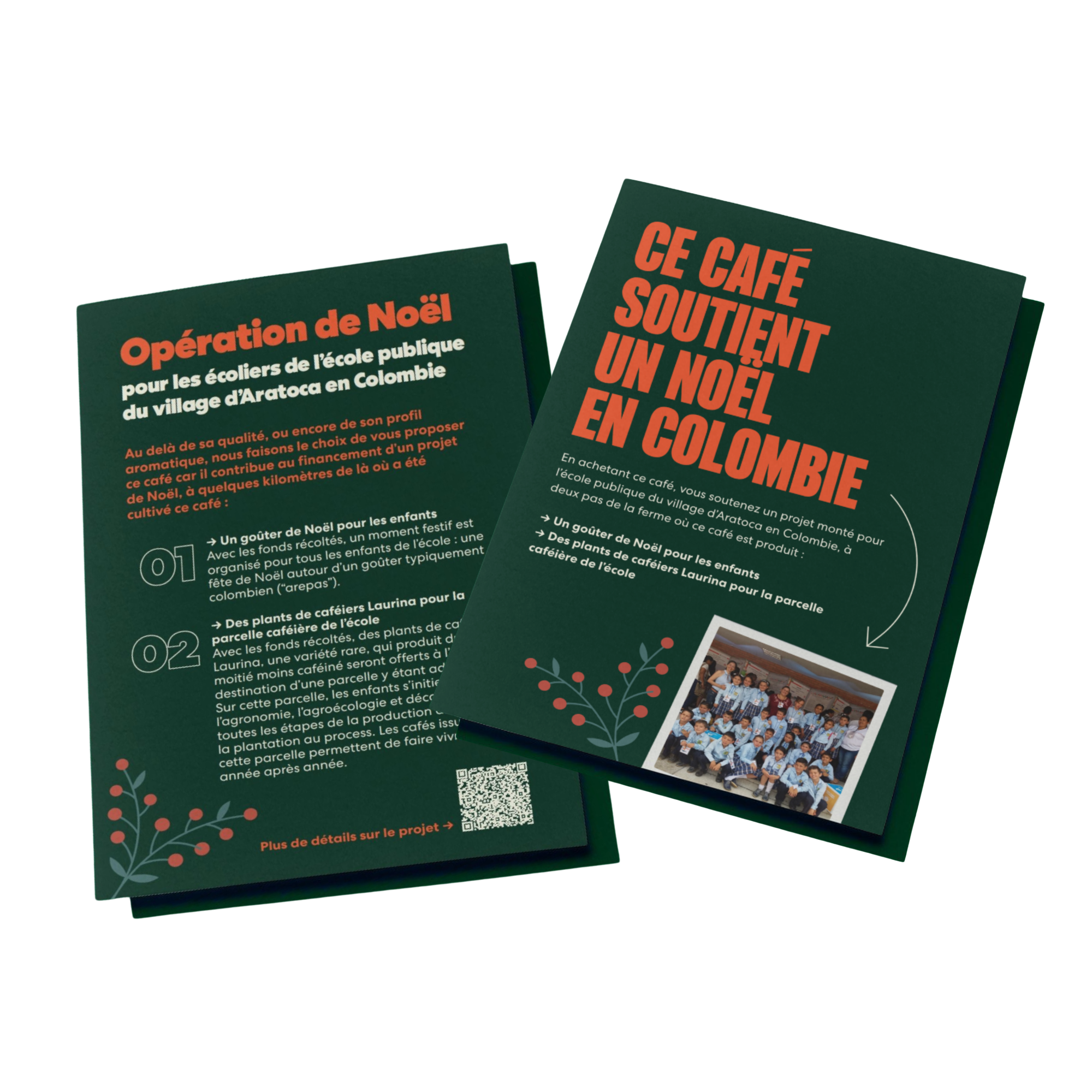 PLV Noel Aratoca FR2