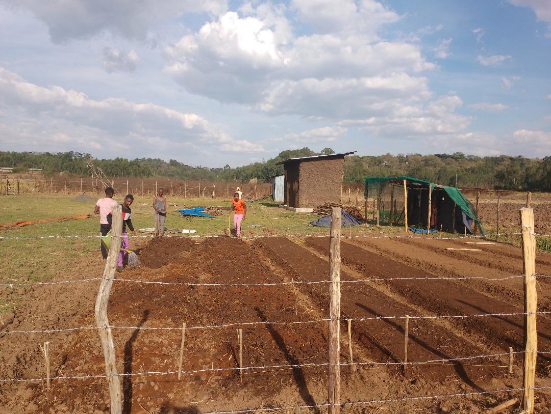 4e24bcfd-bfed-56de-807f-6ea2f3150000