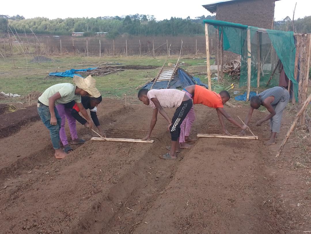 d7290397-9fcc-5081-aa29-e3e1a2d50000