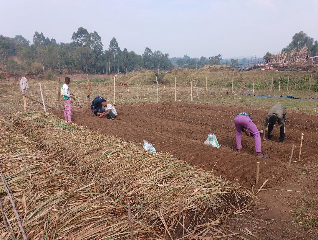 c53e48d6-48b4-50e5-87d1-11d5b4c50000