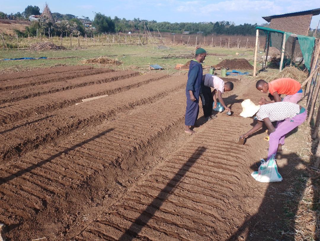 8d28aadd-3715-54e3-aa12-865c02350000