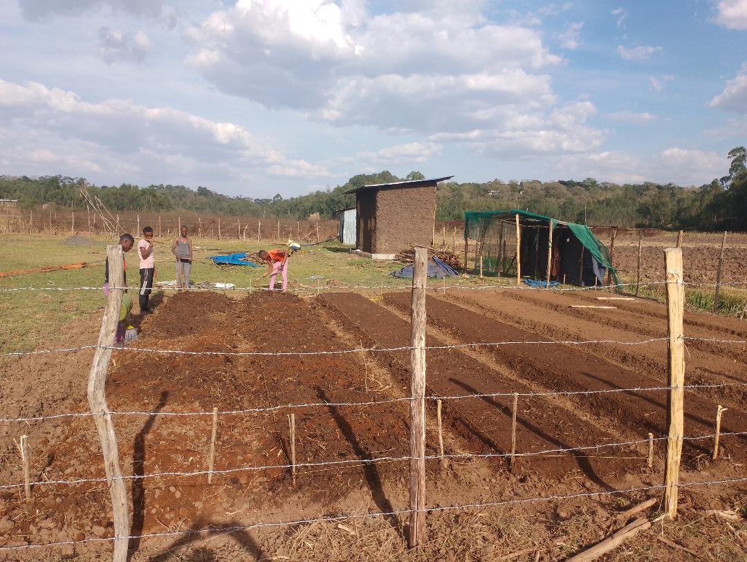 7a7f97a3-a78a-5e5f-ab12-cfdd11250000