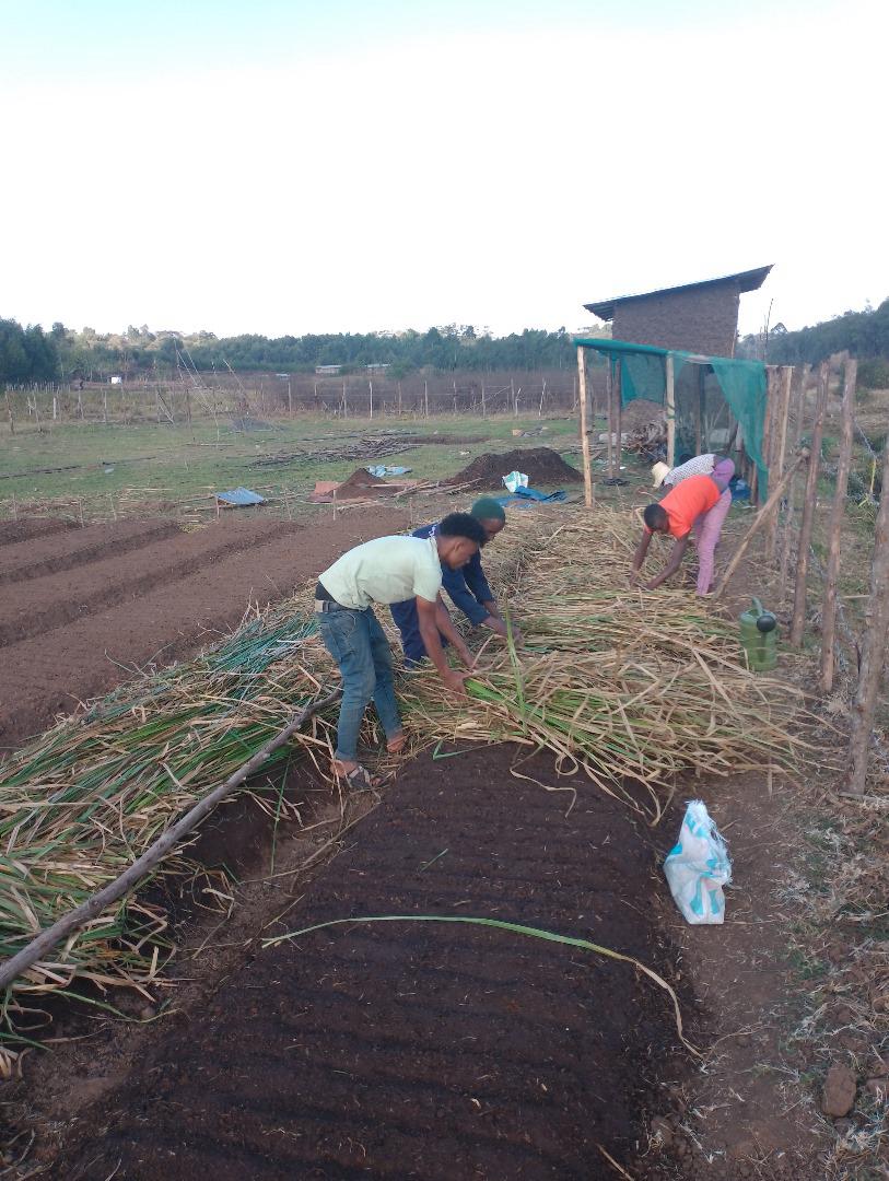 51fcf7f8-5b25-5675-b152-12efb5450000