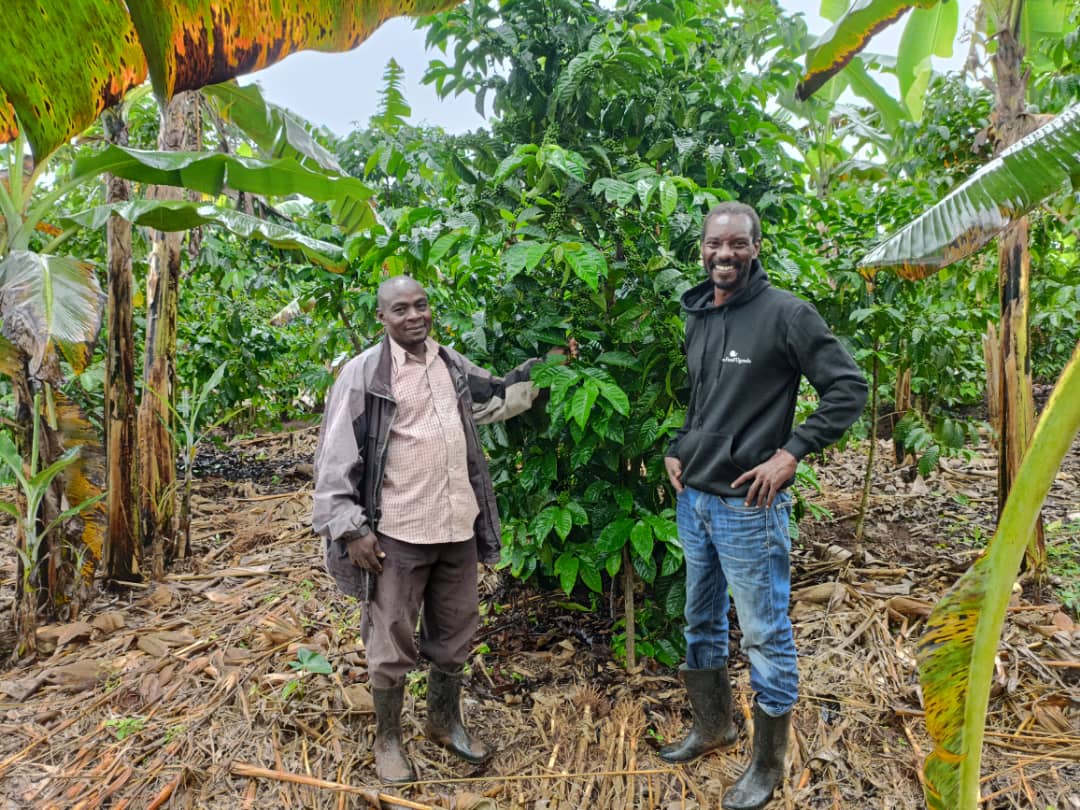 0ecd3696-9c55-5c4b-a1e5-4ecbe4250000