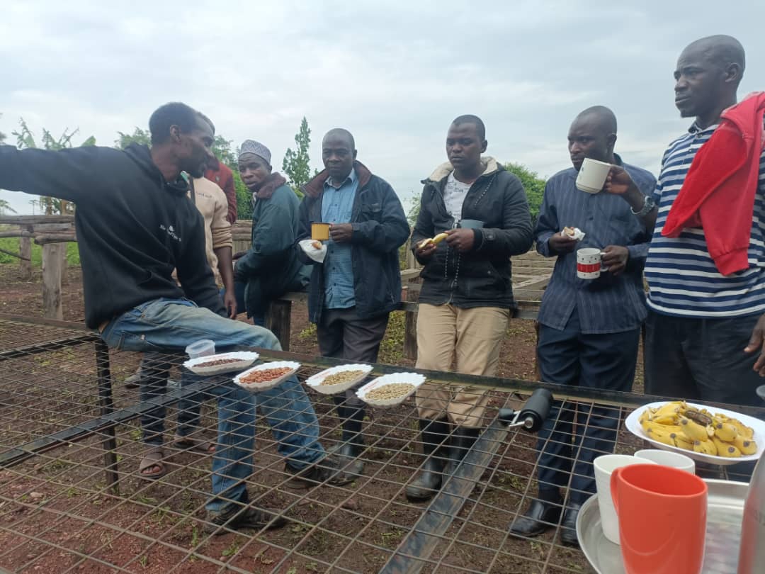 85e29d0f-e266-53d8-aec1-5d007bb50000