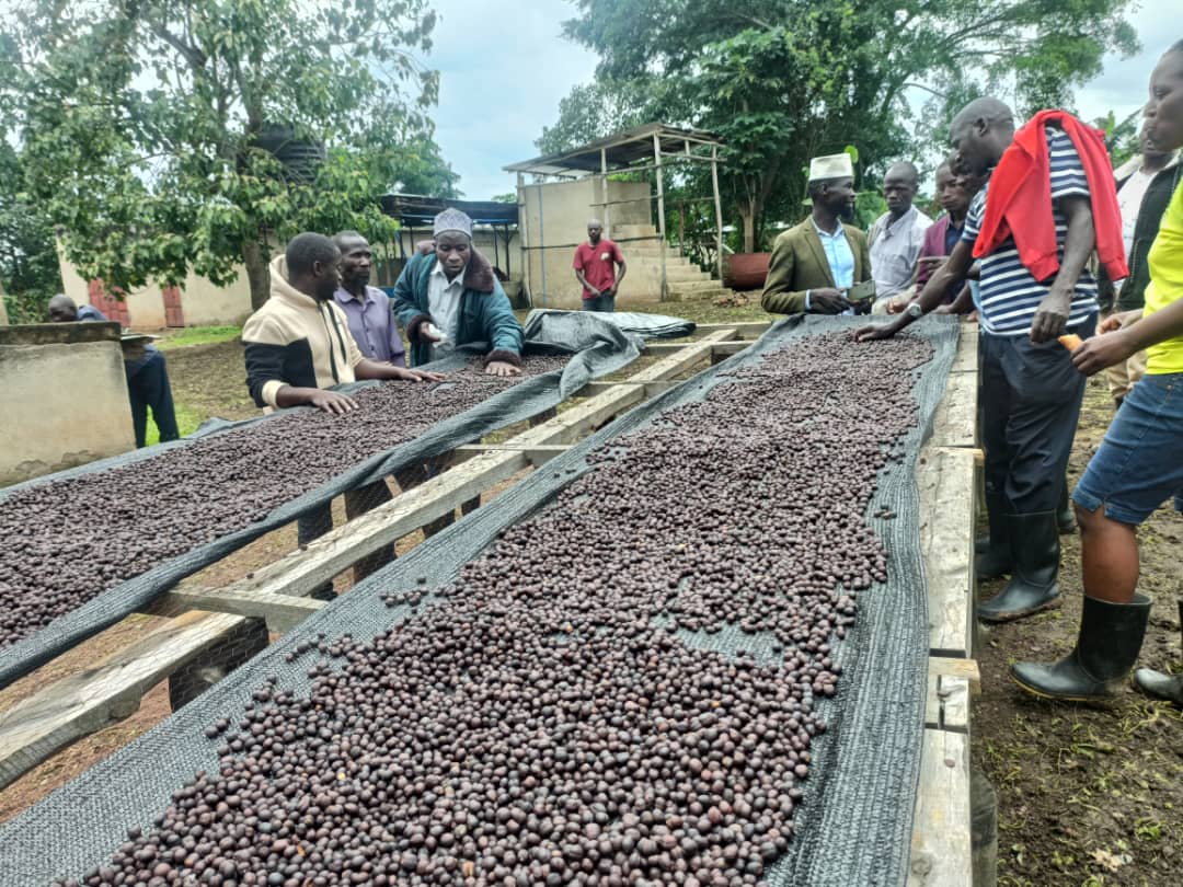 491e2448-f126-55a6-9ea2-d3b298450000