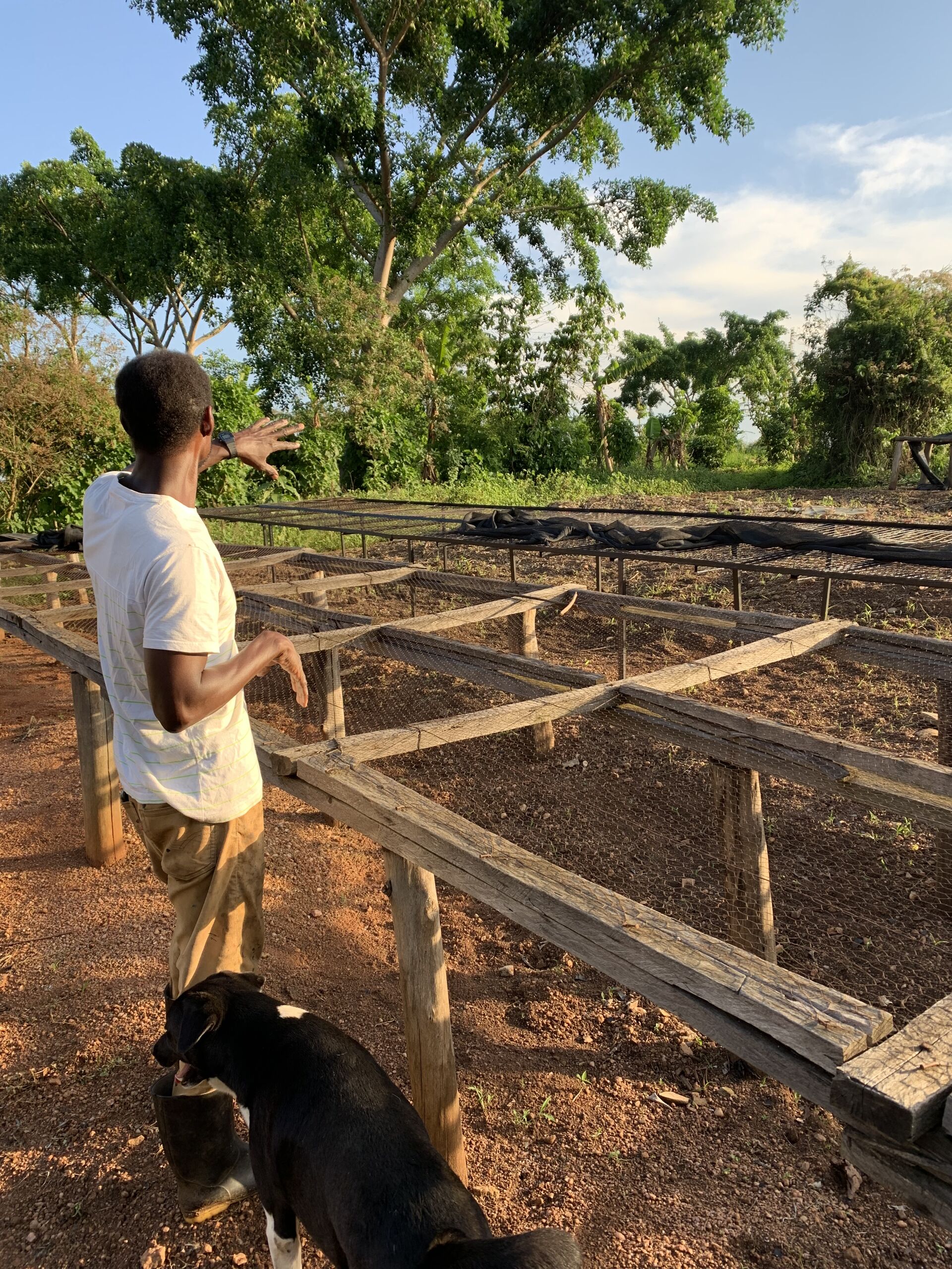 db8c32e2-9c9c-5c43-b6e4-434334150000