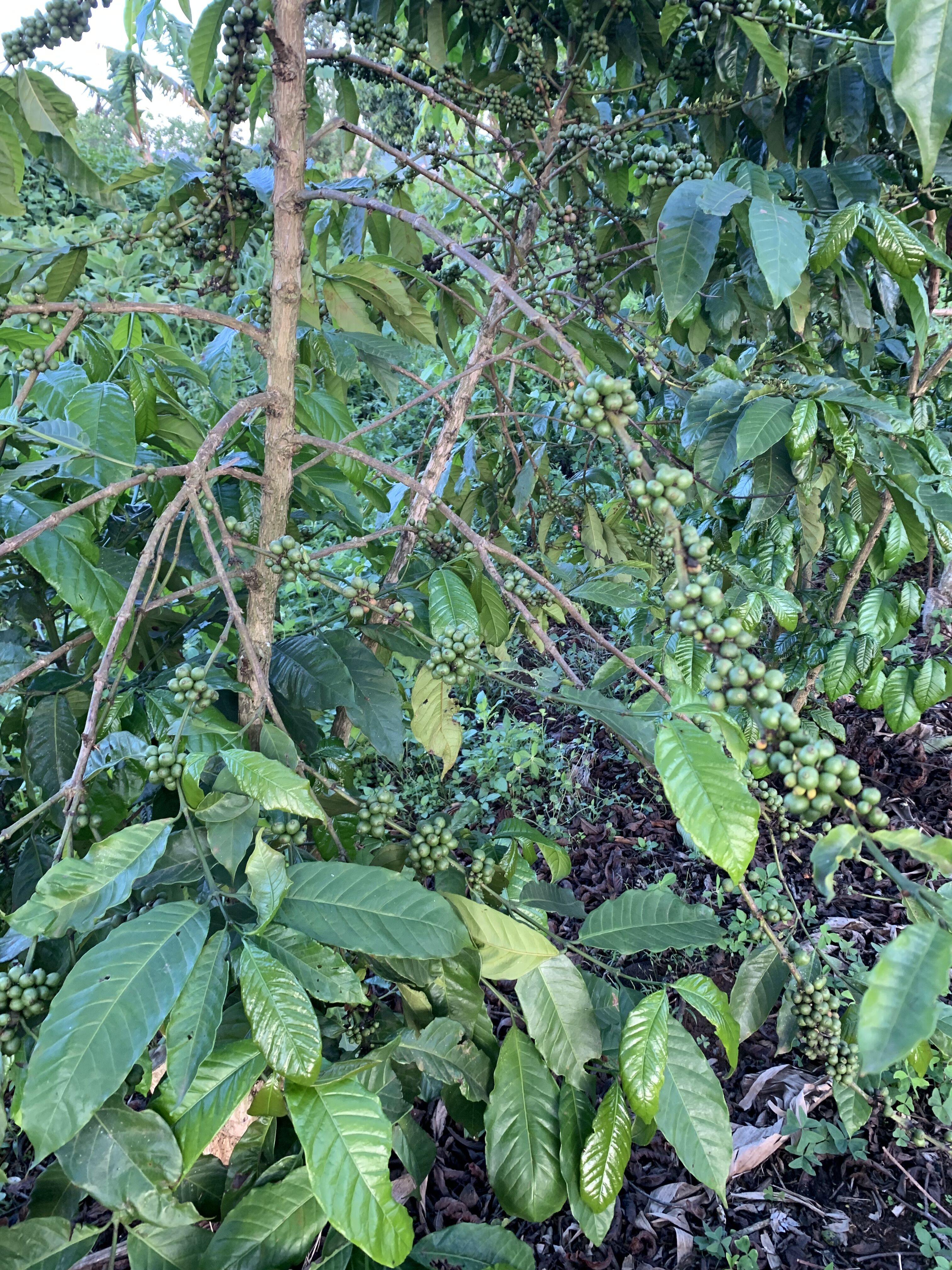 dacf625c-05eb-5c28-96b9-cdd1dca50000