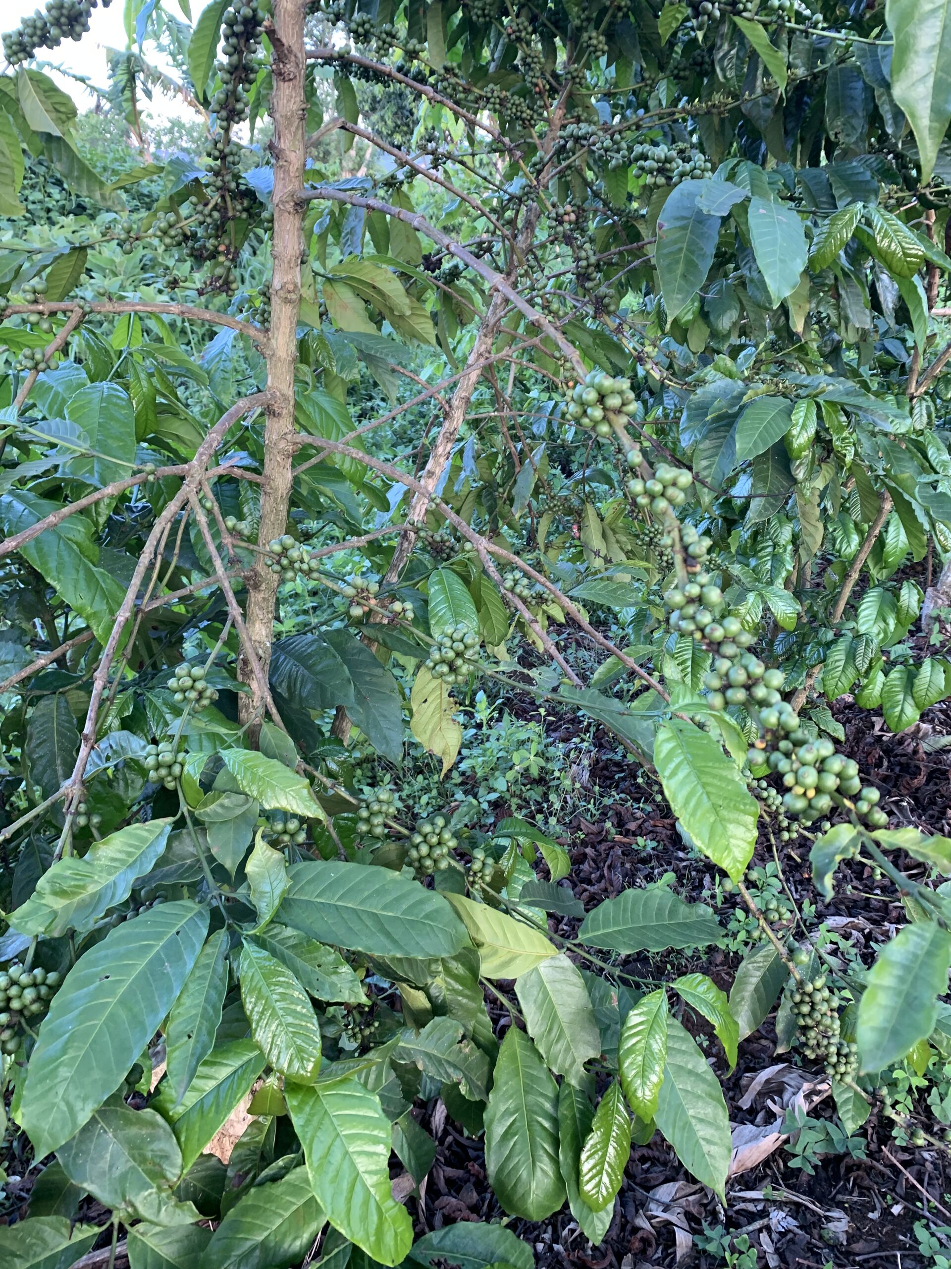 dacf625c-05eb-5c28-96b9-cdd1dca50000