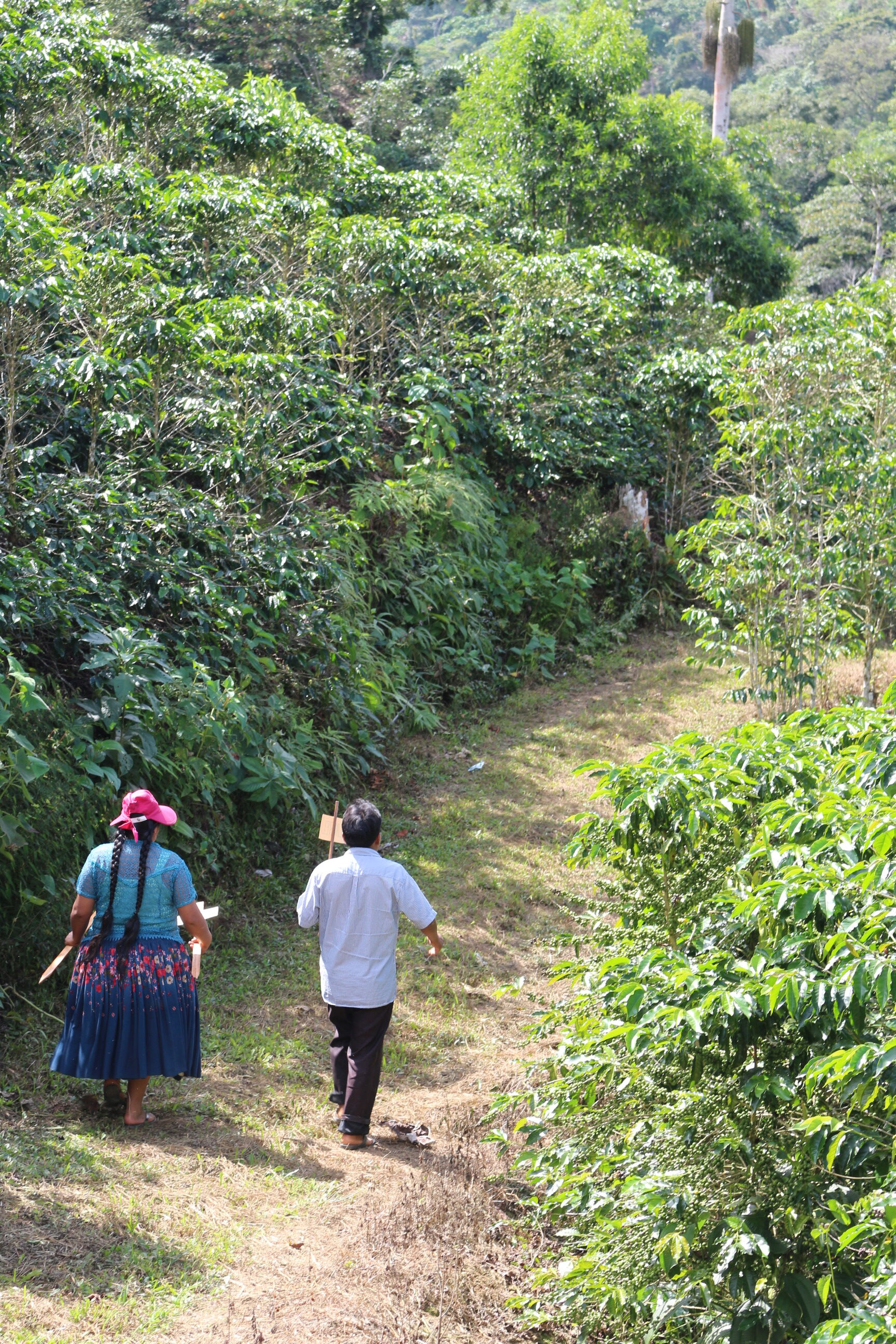 6365d35a-20d0-5987-a069-e0e9bf250000