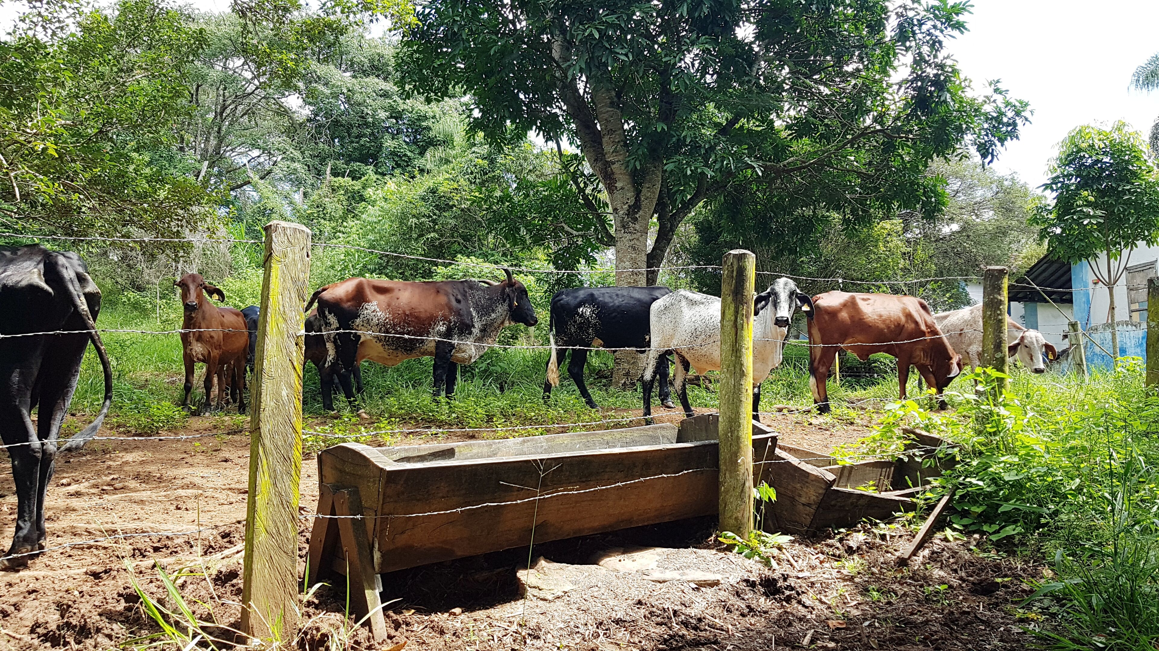 fd52fa91-a3d3-5968-b353-f3d08e150000