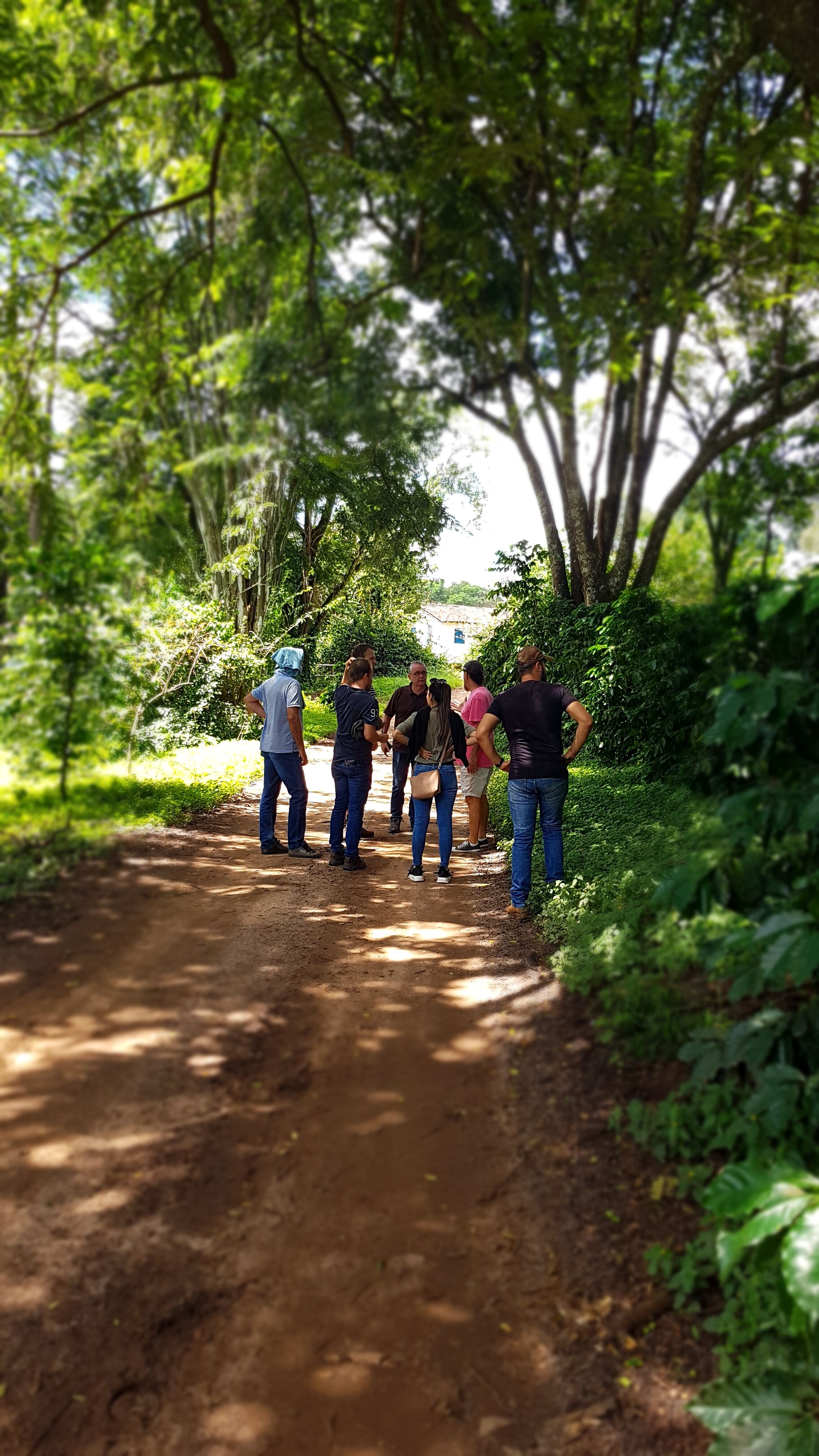 f1ca879c-7e9d-5f8b-8efa-72b7fc350000