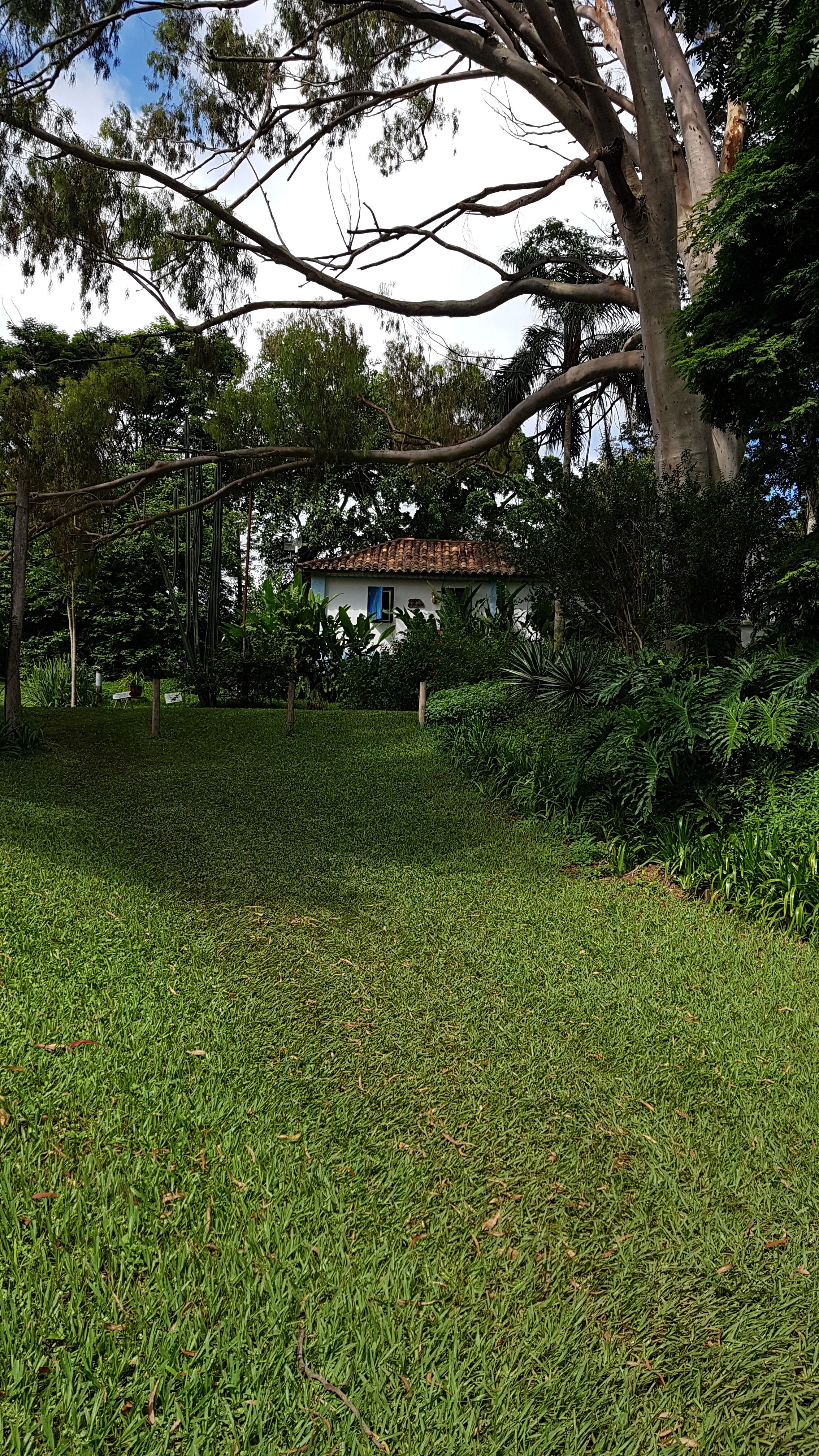 df096cfe-1815-559f-ad24-03614cc50000