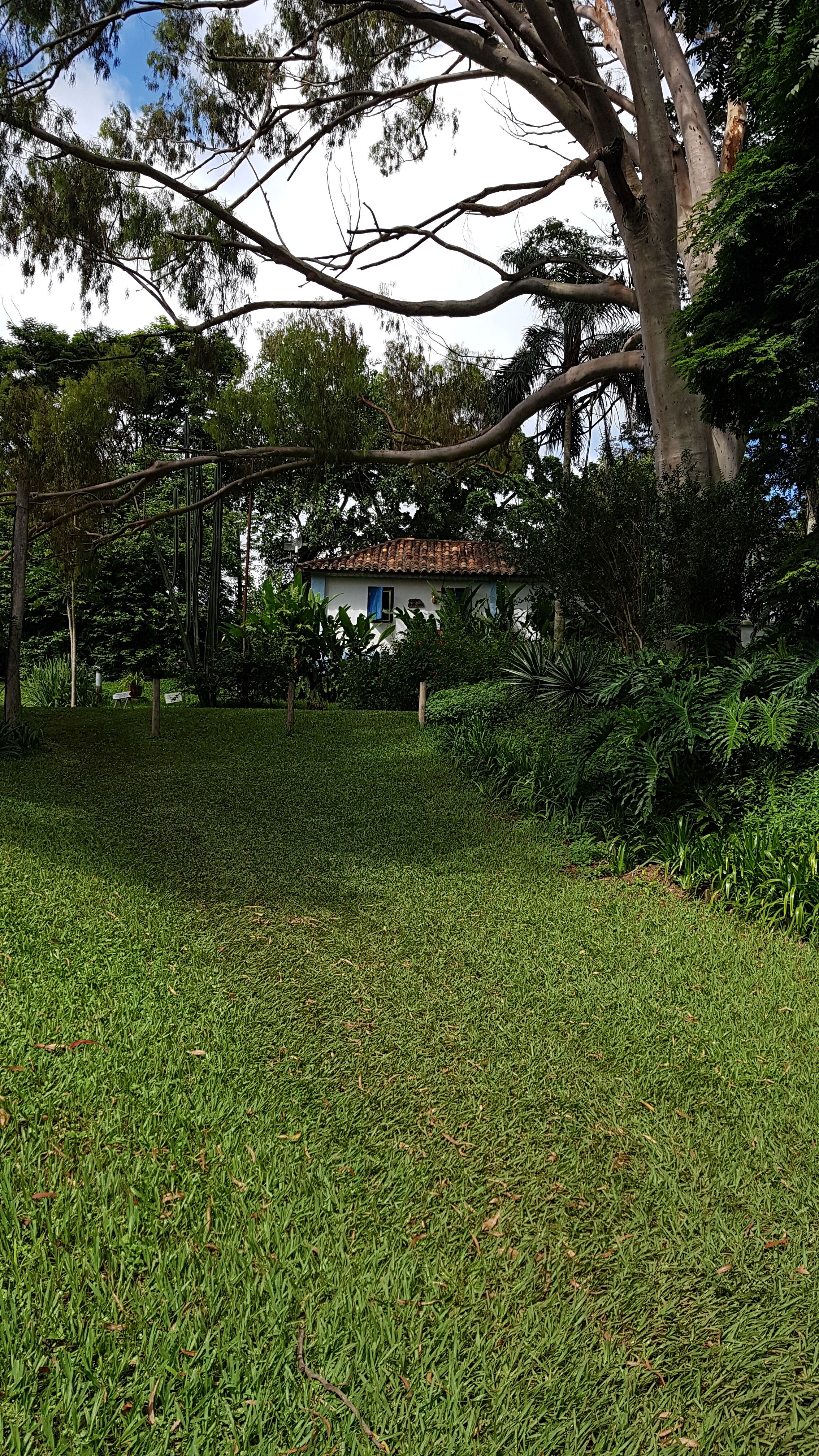 df096cfe-1815-559f-ad24-03614cc50000