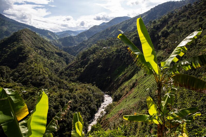 Fábrica - Colombia