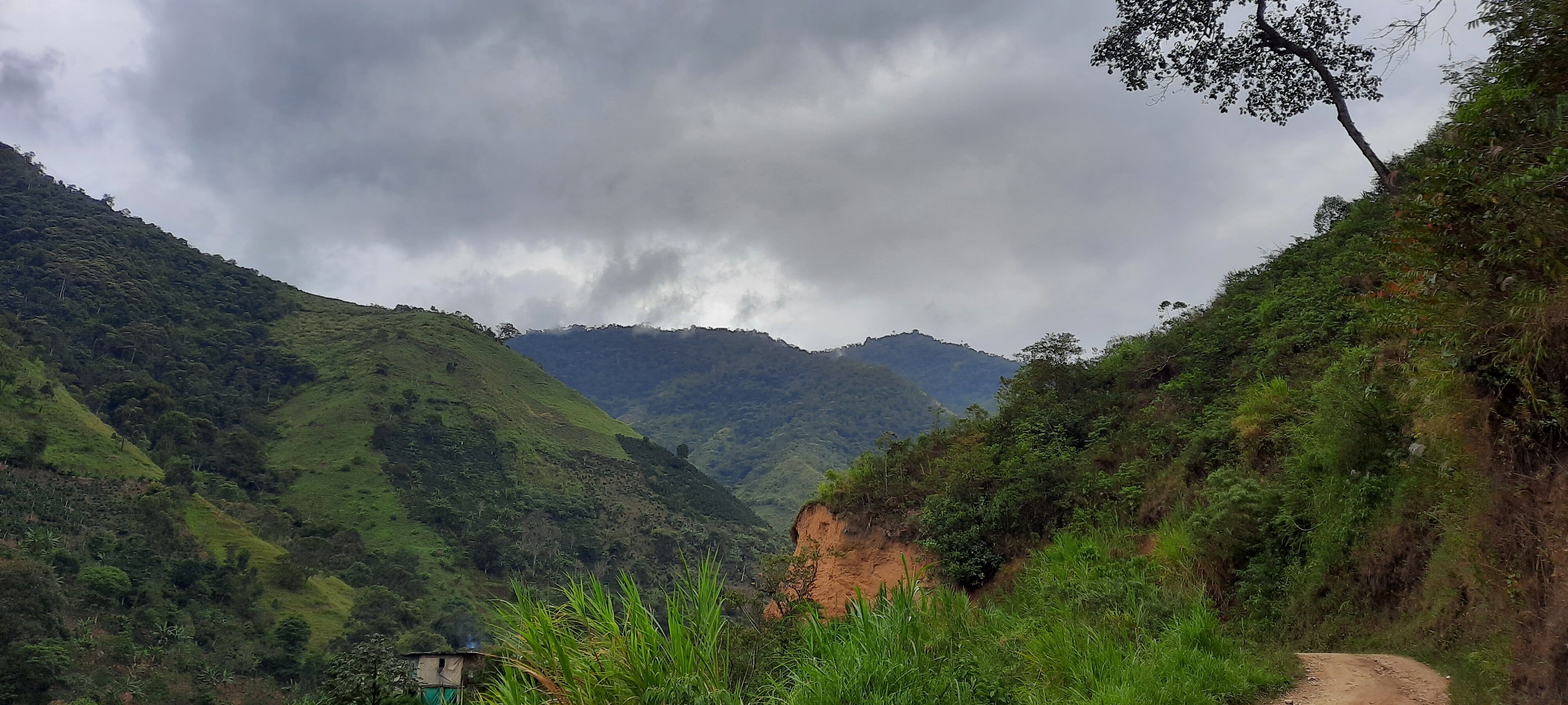 0451bc0f-00f6-5a9f-a515-417b96050000