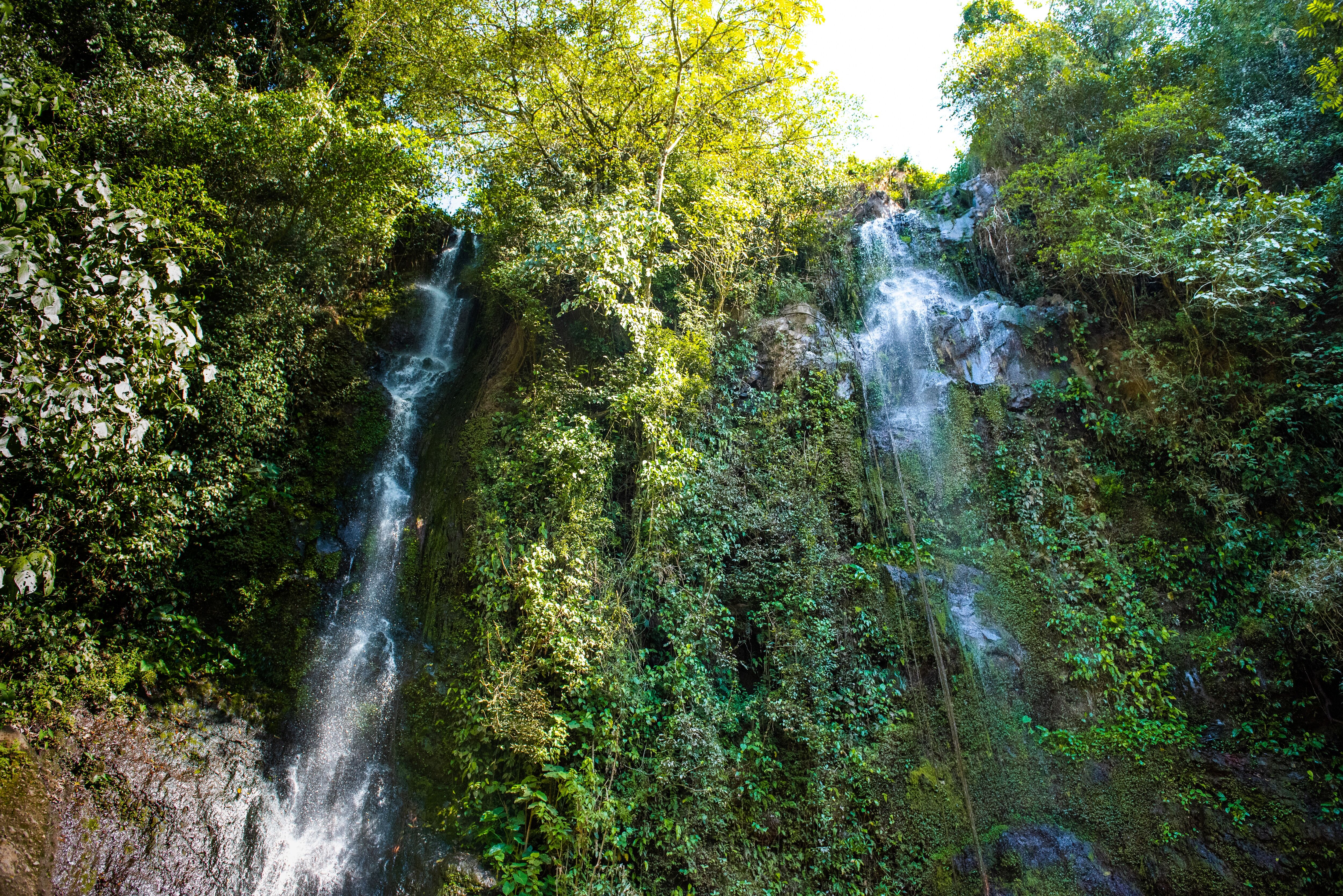 0e337cf1-f99c-5cd3-8fe4-418092f50000