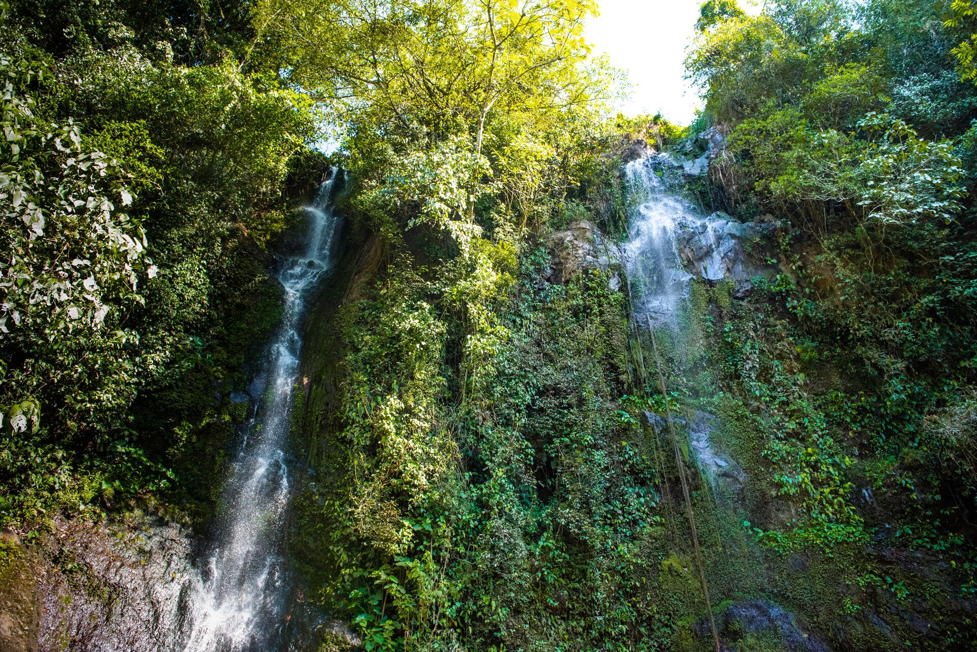 0e337cf1-f99c-5cd3-8fe4-418092f50000