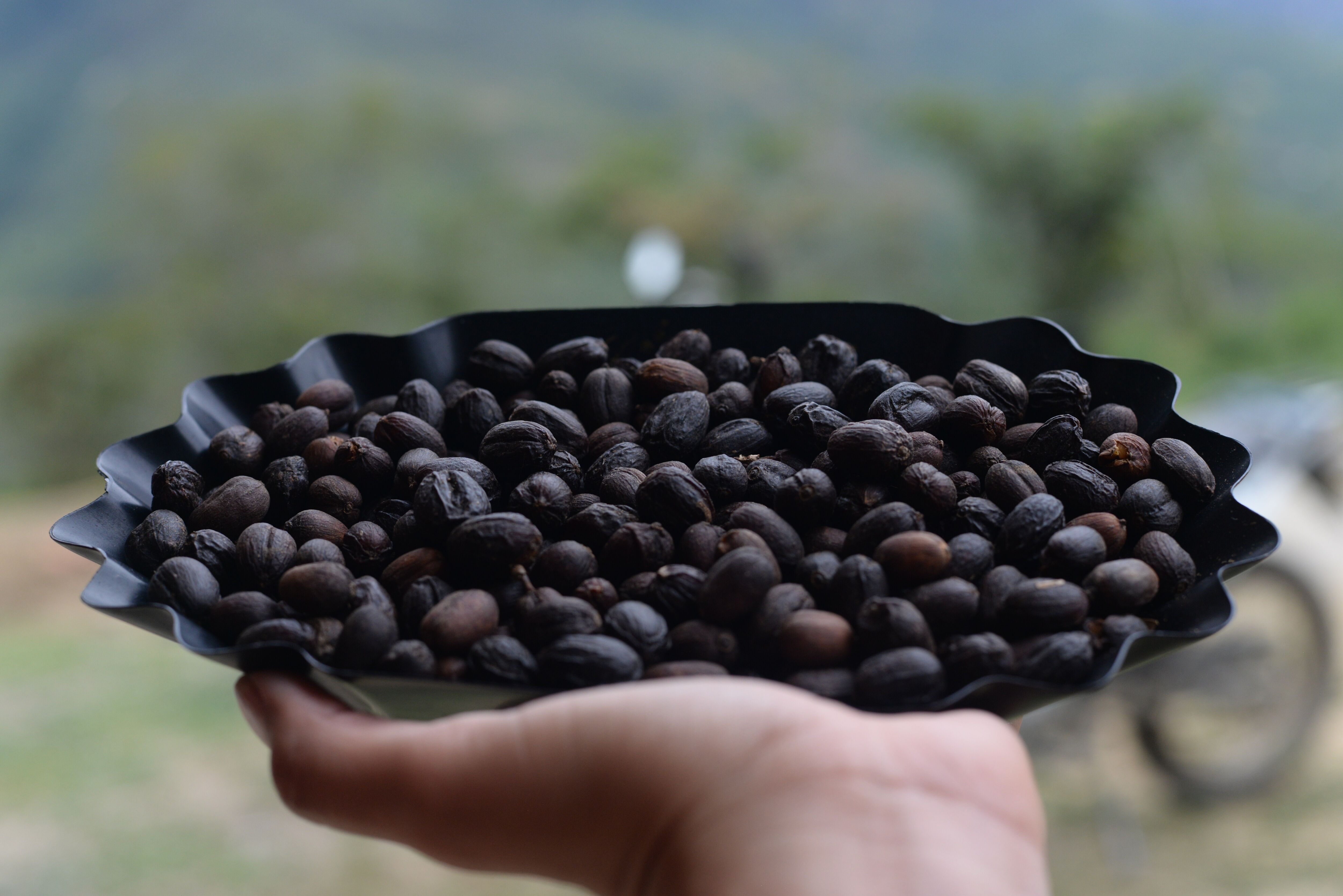 7ed4b0a9-fb23-5495-af4a-fd675a550000