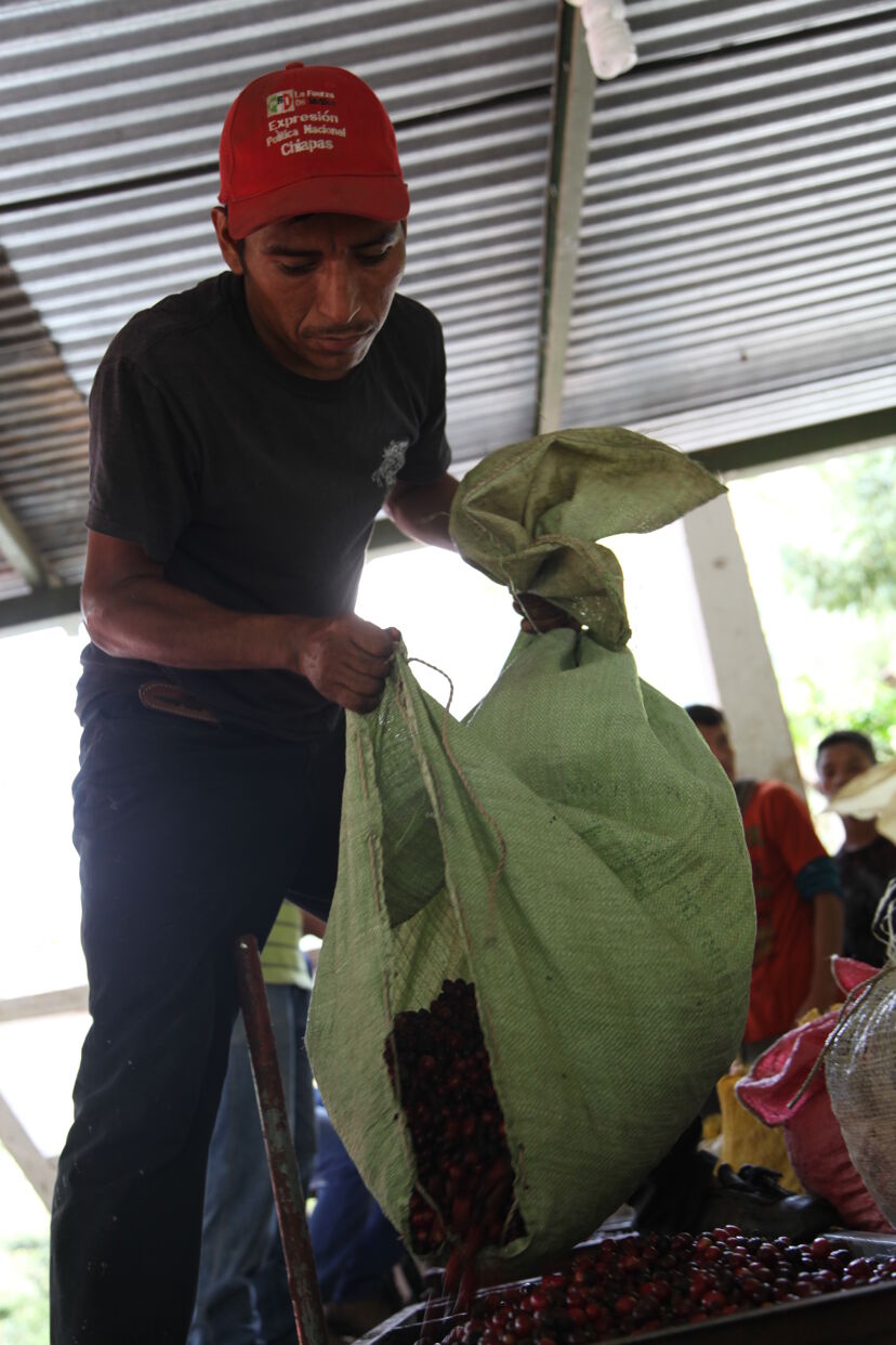 05374841-8957-50d9-af90-11985b650000