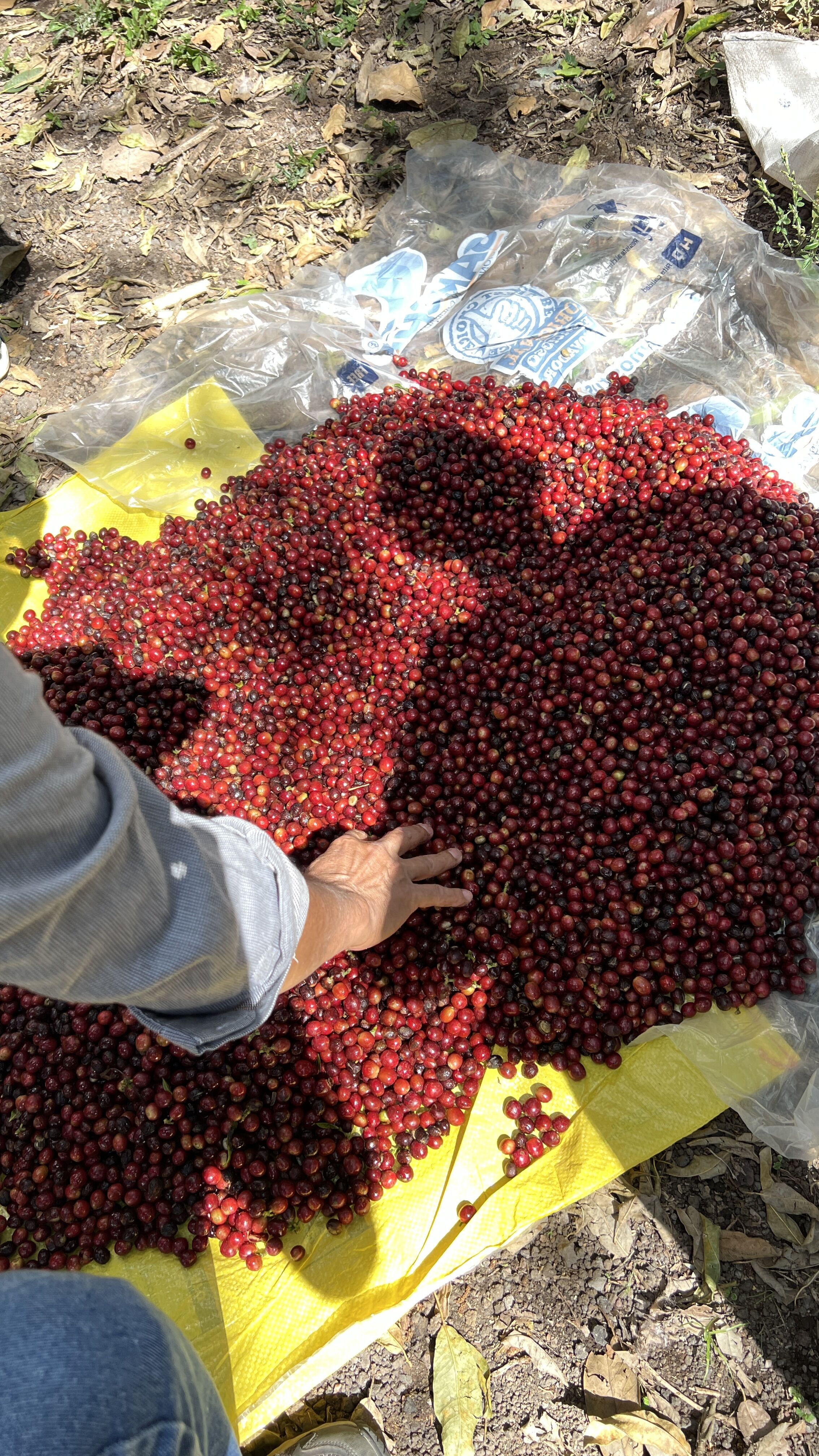 511968a2-293f-50dd-a085-c60f84150000