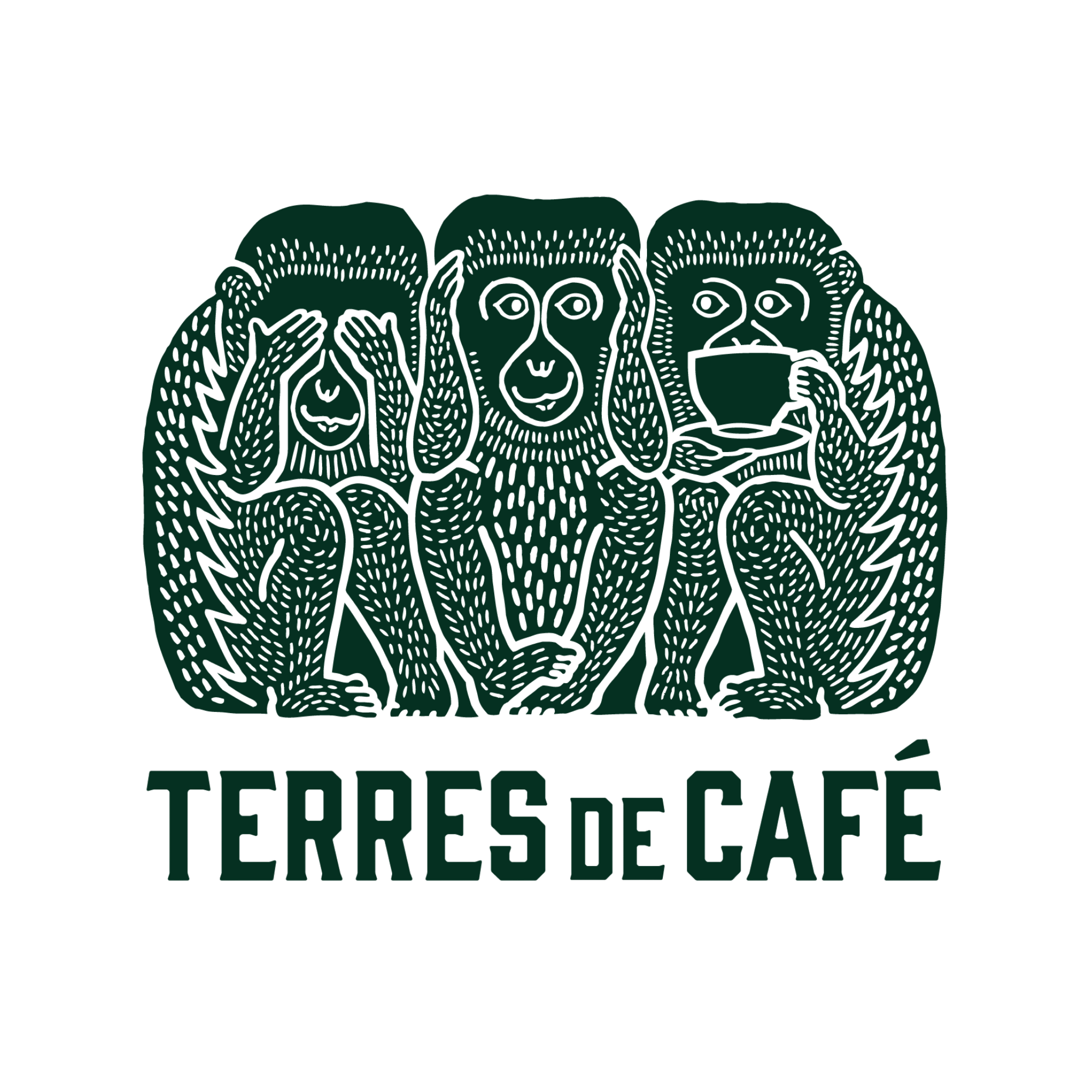 tdc logo